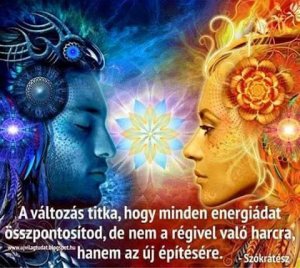 12294654_1070498119627234_1225178775361448419_n